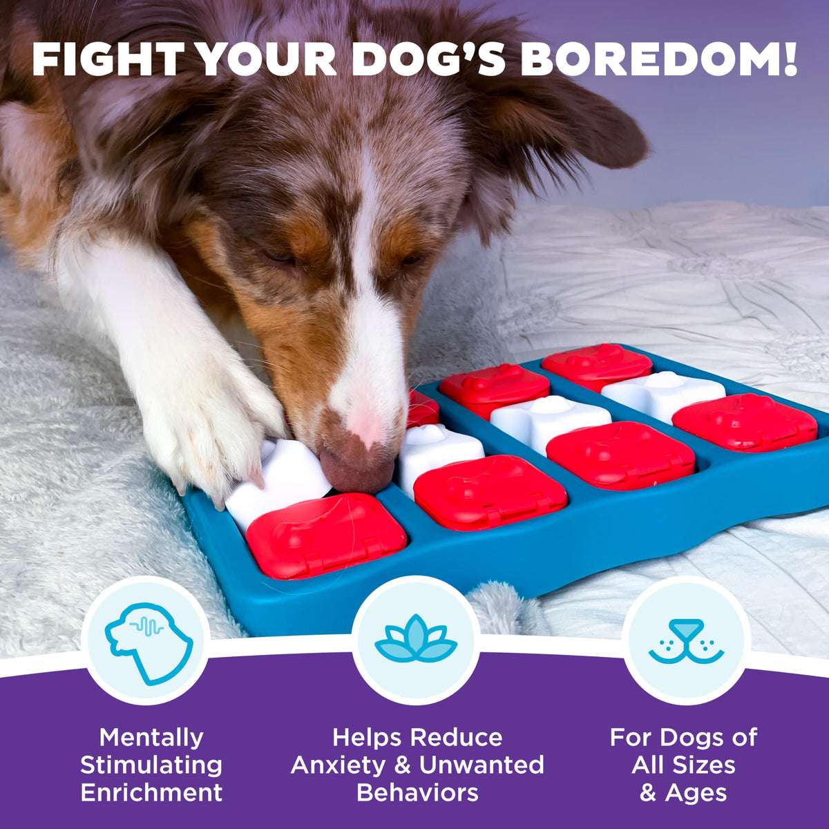 Outward Hound Nina Ottosson Dog Brick treat puzzle toy