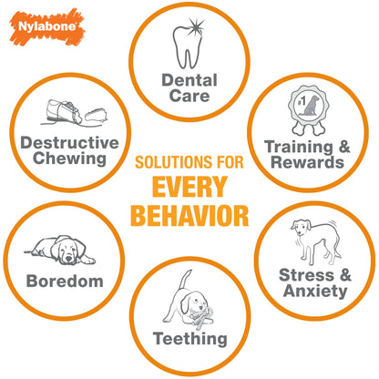 Nylabone Power Chew toys in bacon, chicken and peanut butter flavors