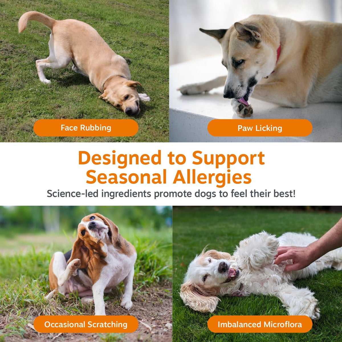 Zesty Paws Peanut Butter Allergy Support Chews for Dogs, 90 Count