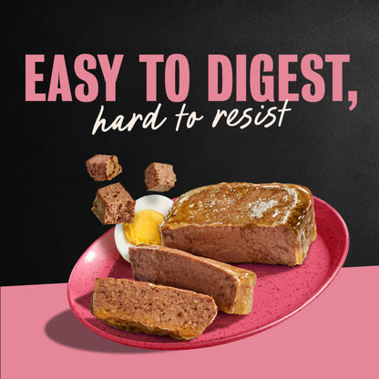 Cesar Meaty Selects Classic Loaf in Sauce Wet Dog Food, 36 Trays