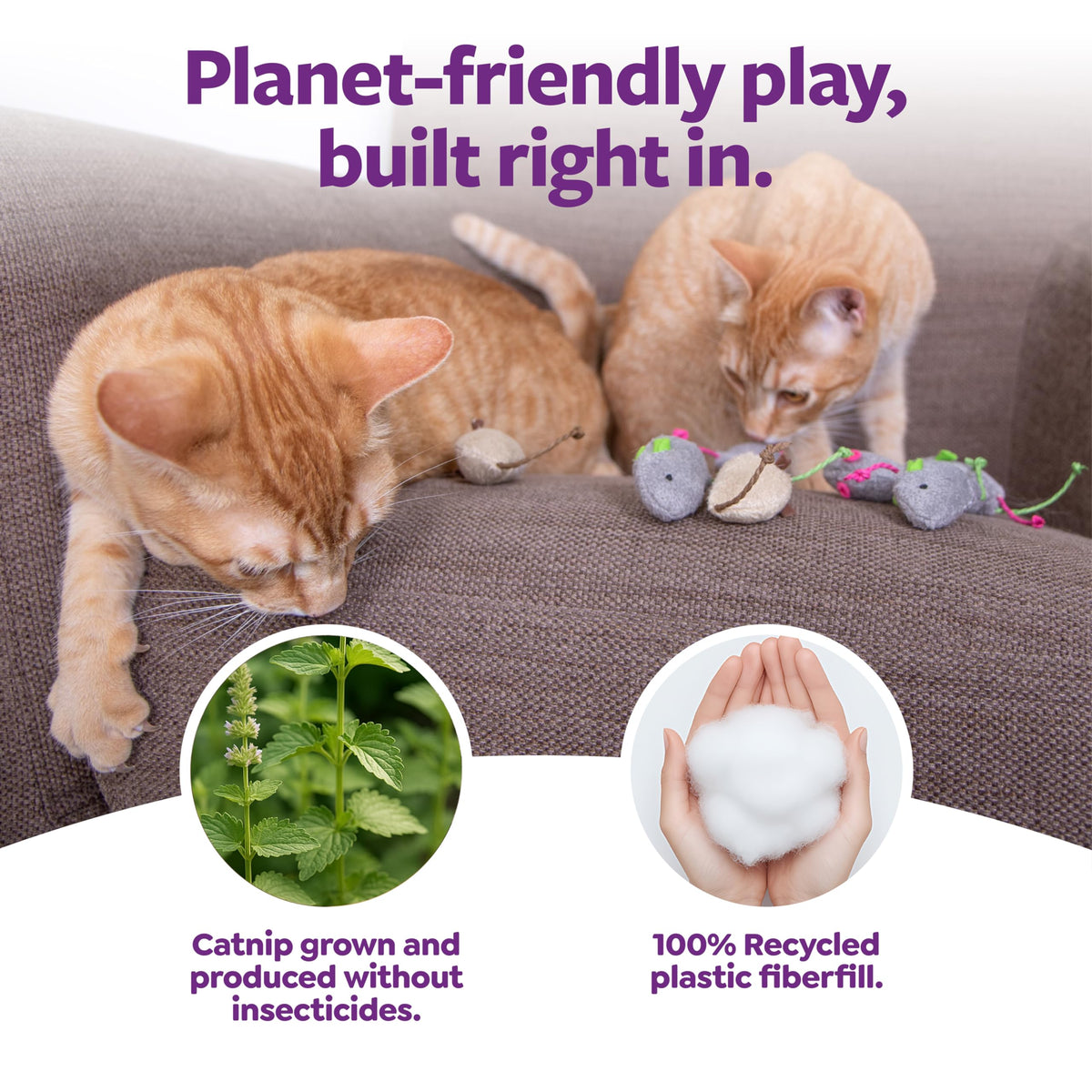 Cat playing with a SmartyKat Skitter Critters catnip mouse toy