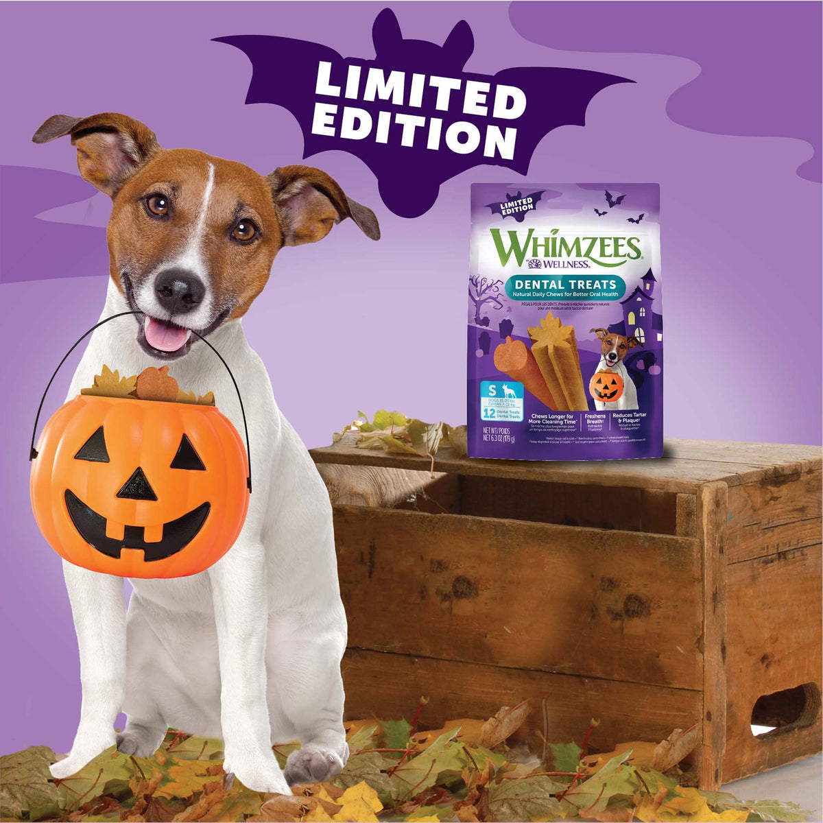 WHIMZEES Holiday Dog Dental Treats – Medium, 6 Count