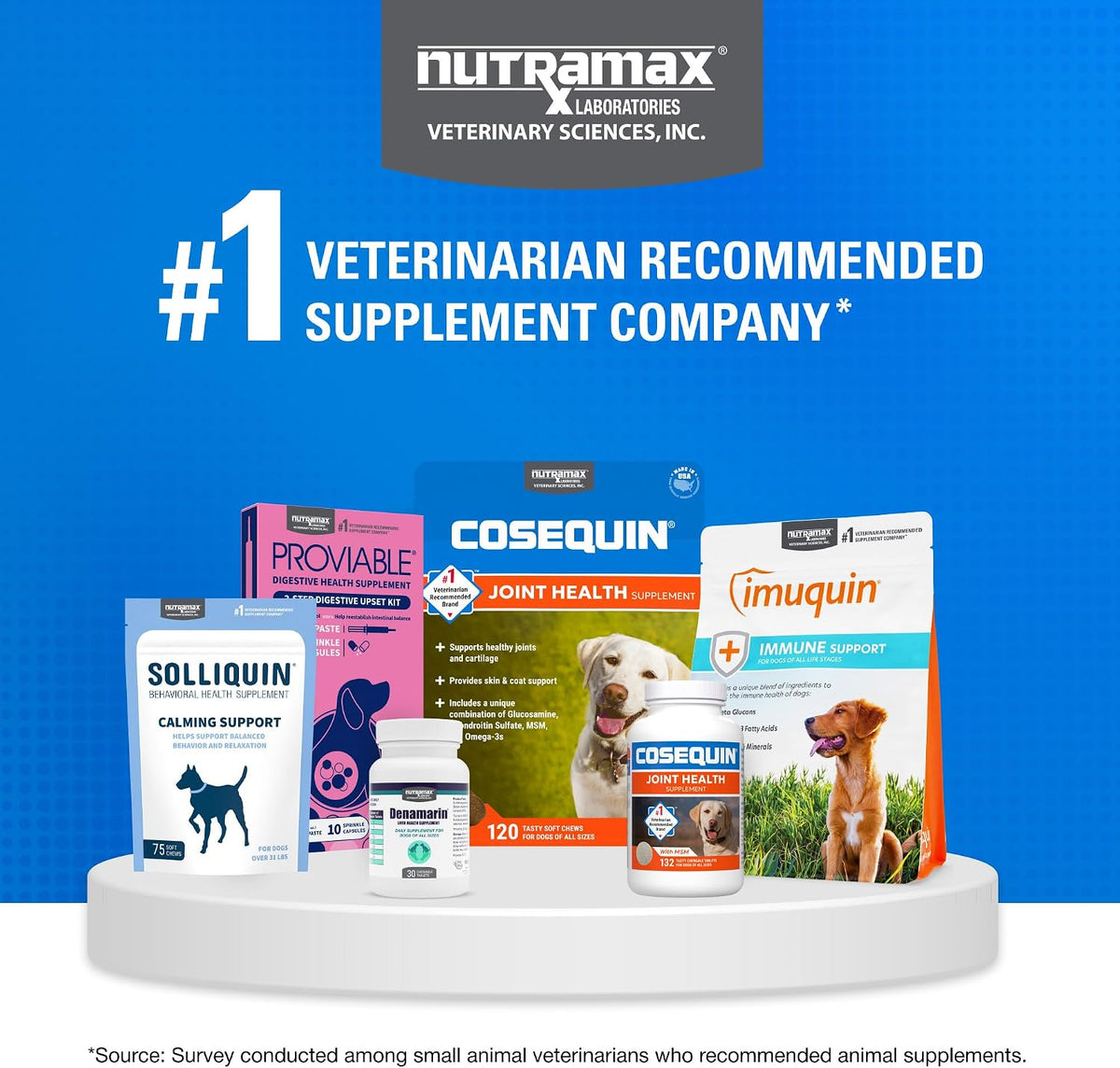 Nutramax Cosequin Joint Health Supplement for Dogs with MSM & HA, 250 Chew Tablets