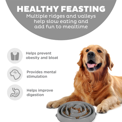 Slow Feeder Dog Bowl Blue – group view
