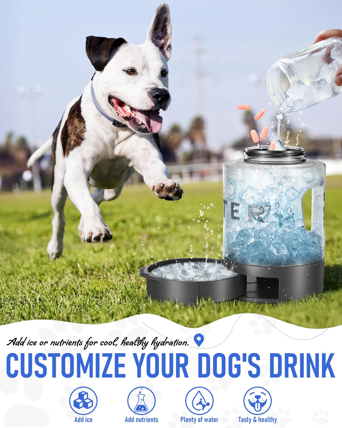 Dog drinking from a lesotc travel water bottle