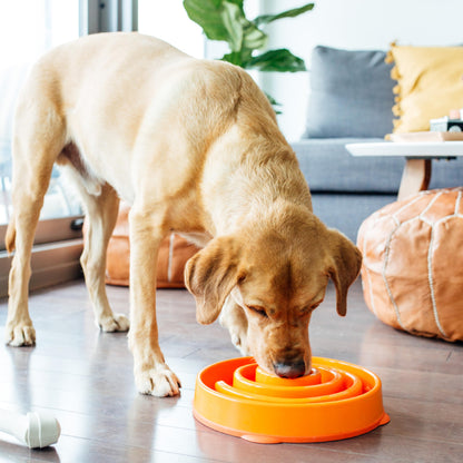Outward Hound Fun Feeder Slo Bowl – Slow Feeder Dog Bowl, Blue (8.8 in)