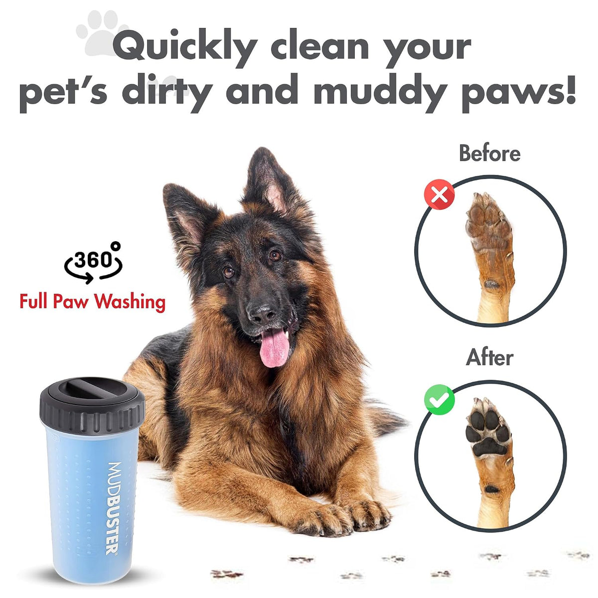 Washing a dog's paw in a Dexas MudBuster paw washer