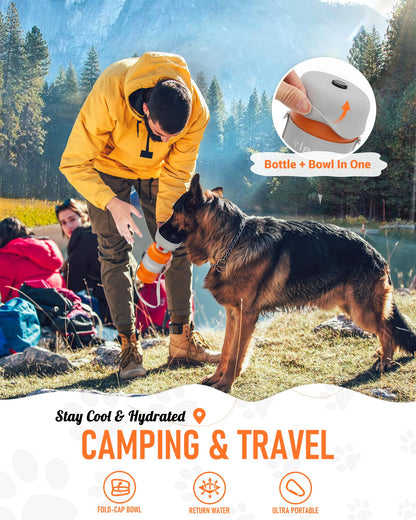 Dog drinking from a lesotc travel water bottle
