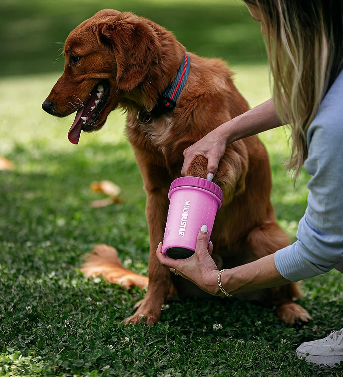 Dexas MudBuster portable paw cleaner with silicone bristles