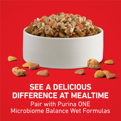 Purina ONE Lamb & Rice Formula Dry Dog Food for Digestive Support