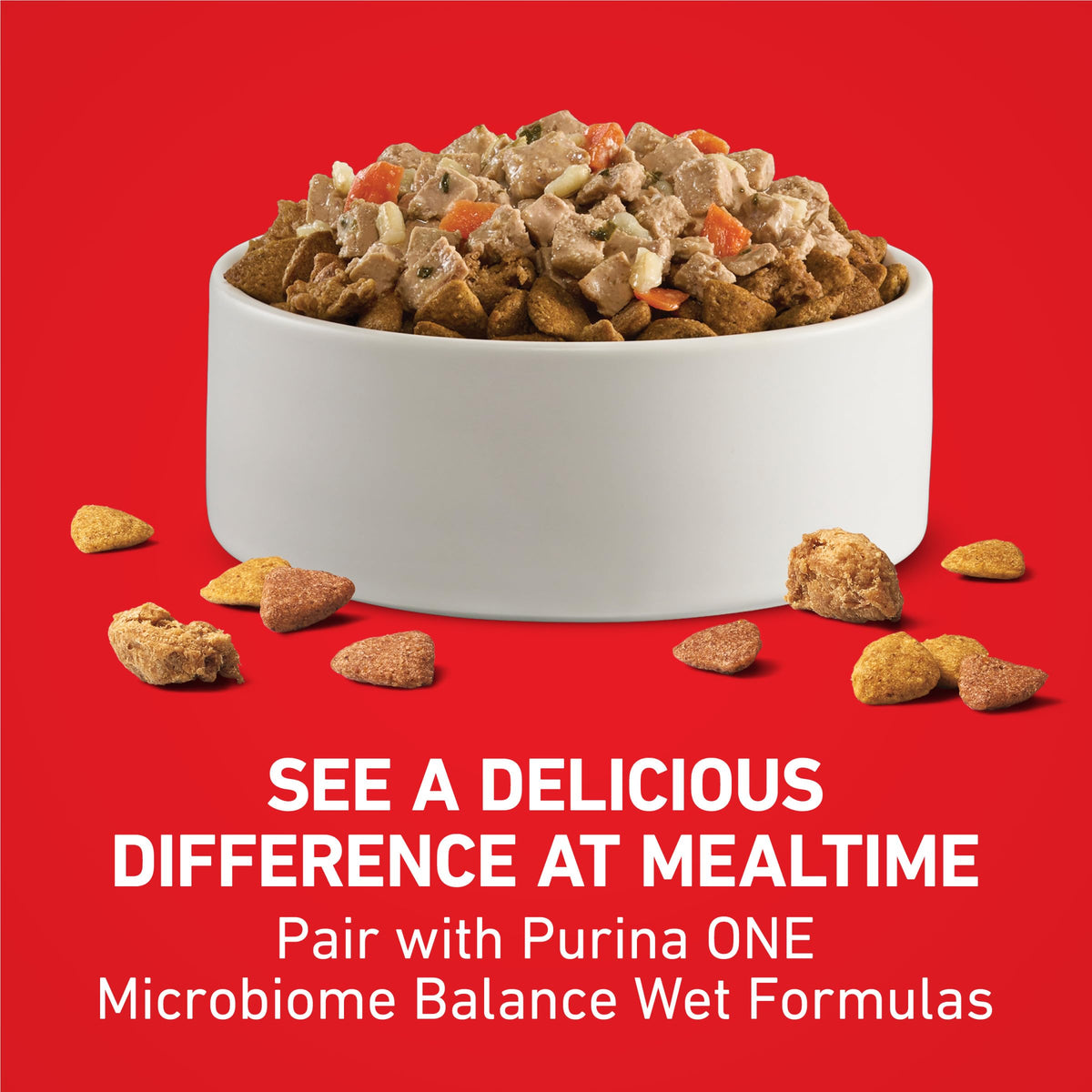 Purina ONE Lamb & Rice Formula Dry Dog Food for Digestive Support