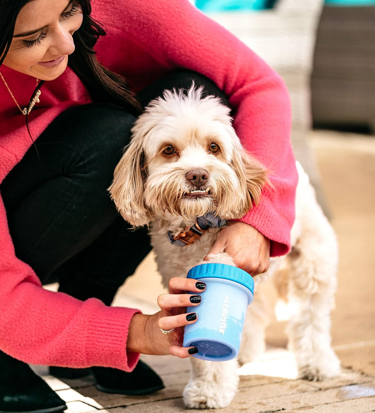 Dexas MudBuster paw washer for muddy paws