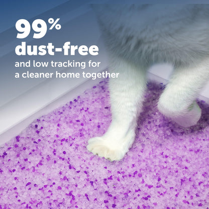 PetSafe ScoopFree Lavender Crystal Disposable Cat Litter Trays, 4-Pack