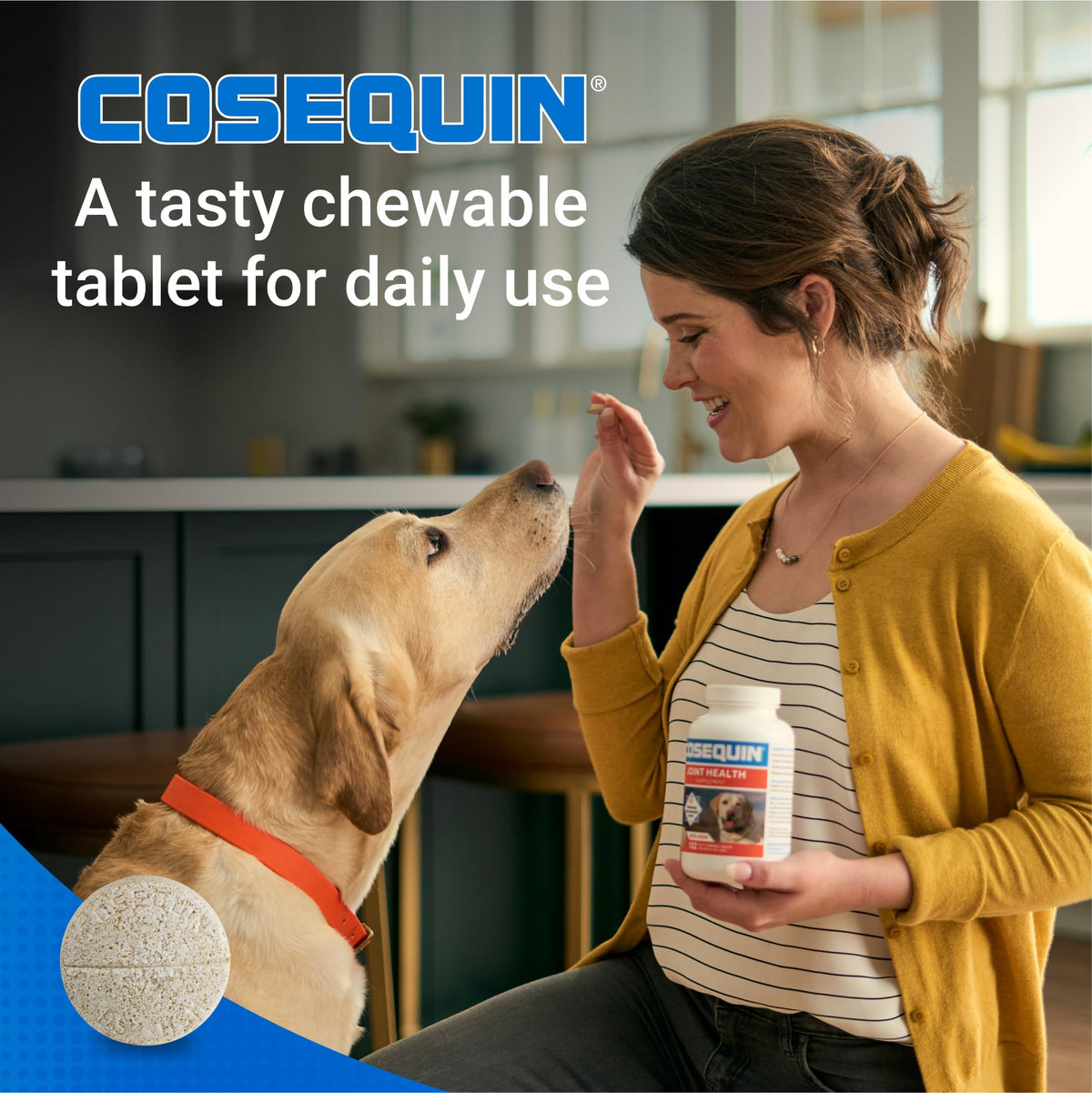 Nutramax Cosequin Joint Health Supplement for Dogs with MSM & HA, 250 Chew Tablets