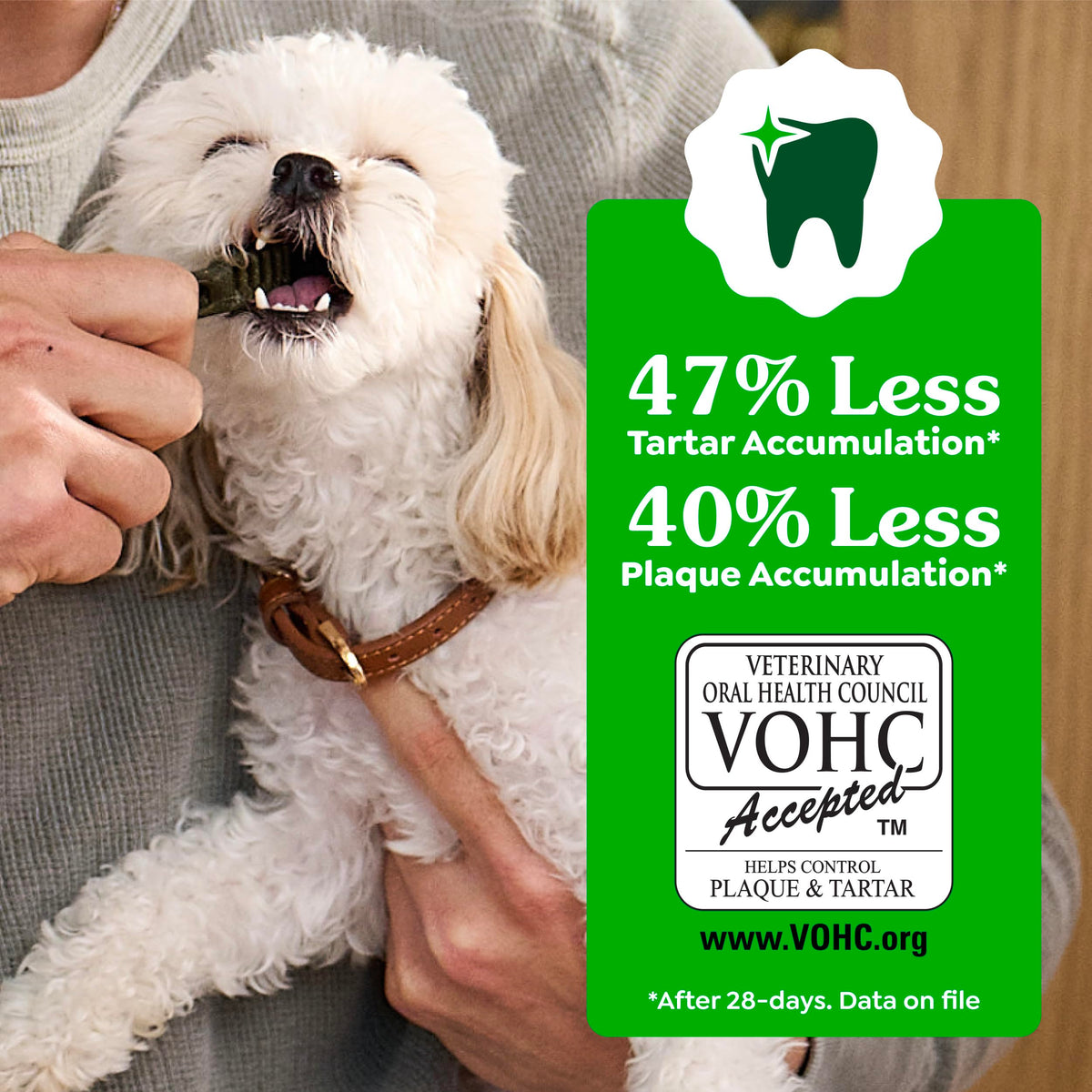 Greenies Teenie Natural Dental Dog Treats – Fresh Mint Flavor, 43 Count