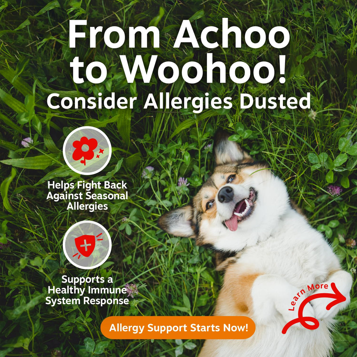 Zesty Paws Peanut Butter Allergy Support Chews for Dogs, 90 Count