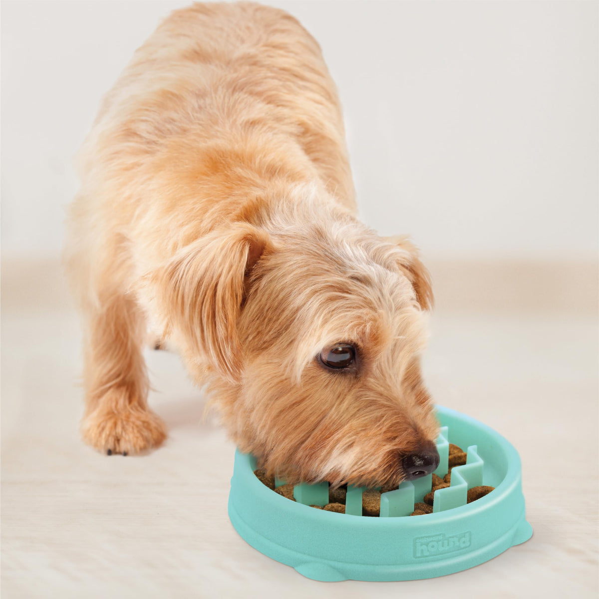 Outward Hound Fun Feeder Slo Bowl – Slow Feeder Dog Bowl, Blue (8.8 in)