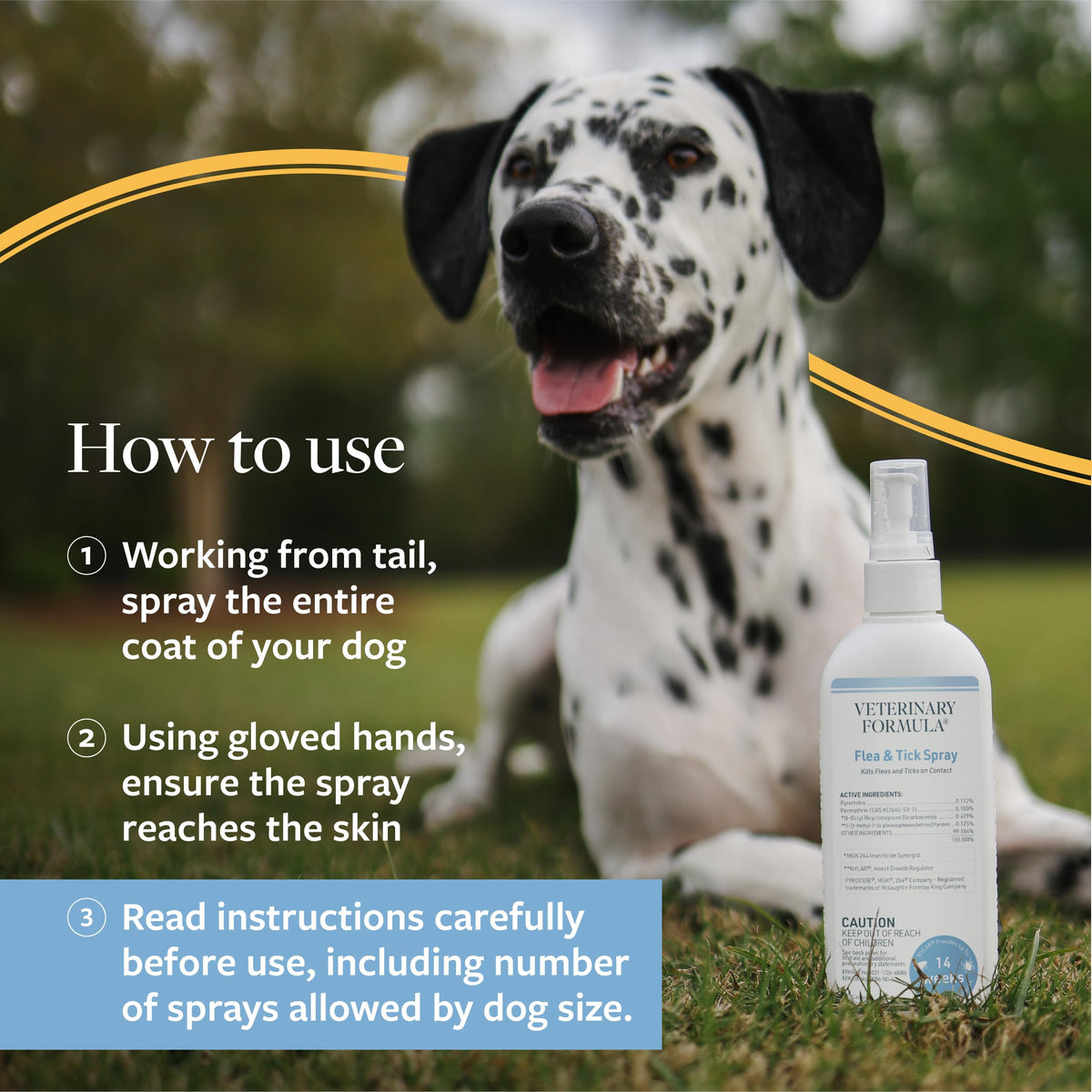 Veterinary Formula Flea & Tick Shampoo for Dogs and Cats, 16 oz