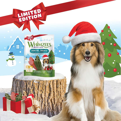 WHIMZEES Holiday Dog Dental Treats – Medium, 6 Count