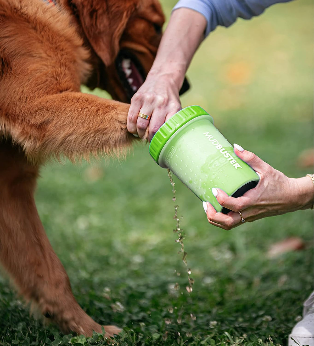 Washing a dog's paw in a Dexas MudBuster paw washer