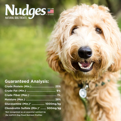 Blue Buffalo Nudges Chicken Jerky Cuts Dog Treats, 16 oz