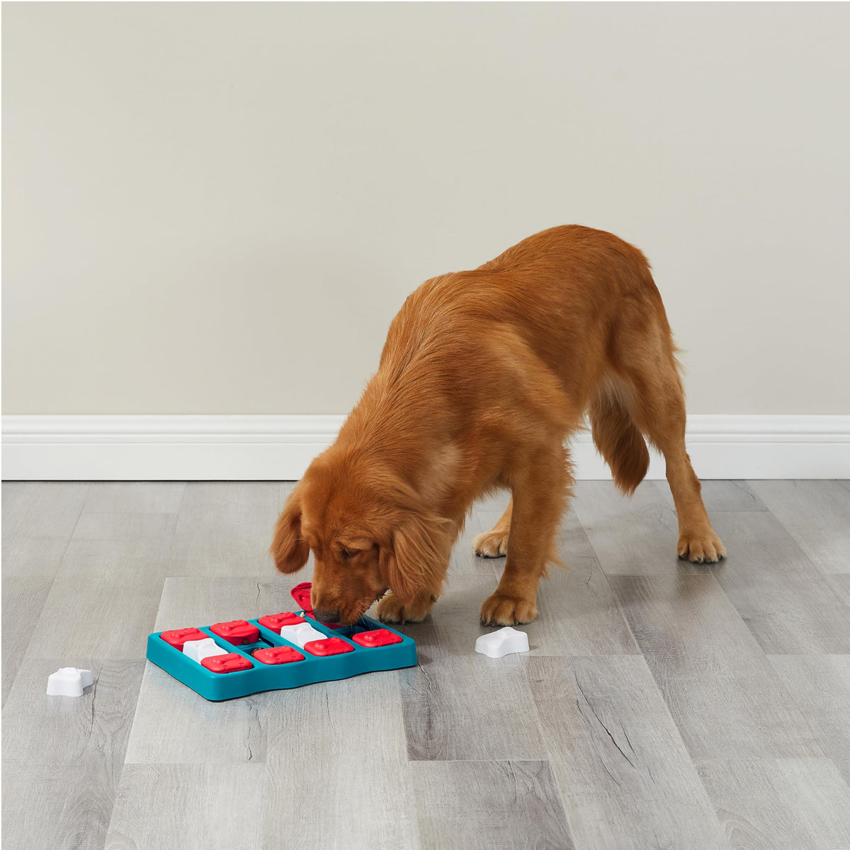 Outward Hound Dog Brick level 2 interactive dog puzzle