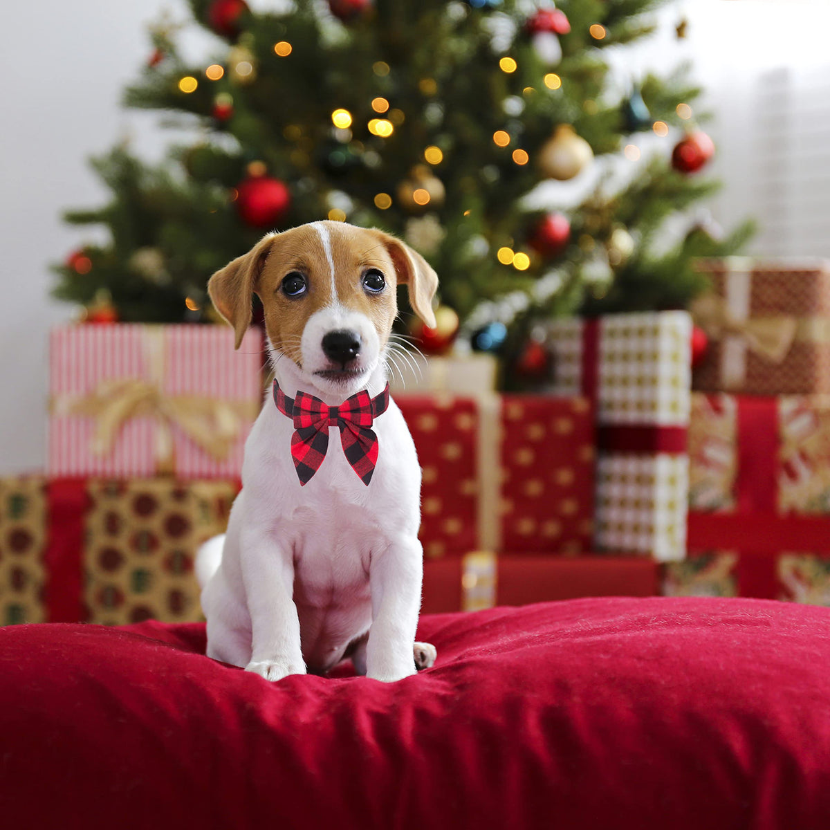 ADOGGYGO Christmas Dog Collar with Bow – Red & Green Plaid Cotton Dog Collar
