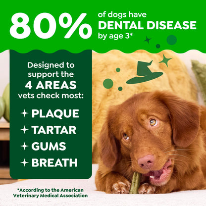 Greenies Teenie Natural Dental Dog Treats – Fresh Mint Flavor, 43 Count