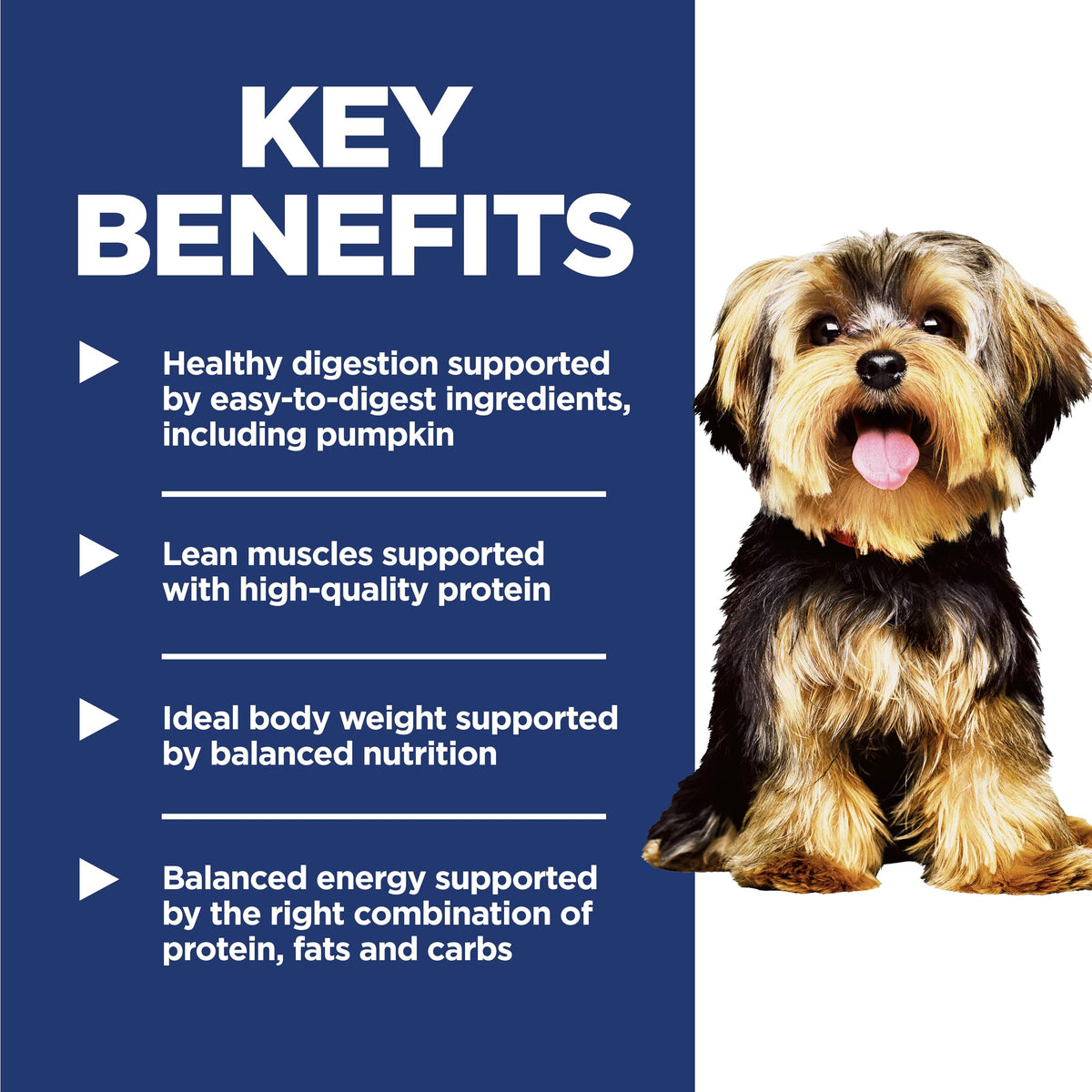 Hill's Science Diet Adult Small & Mini Dry Dog Food, Ages 1–6