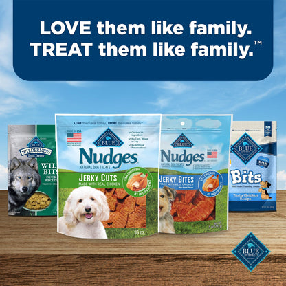Blue Buffalo Nudges Chicken Jerky Cuts Dog Treats, 16 oz
