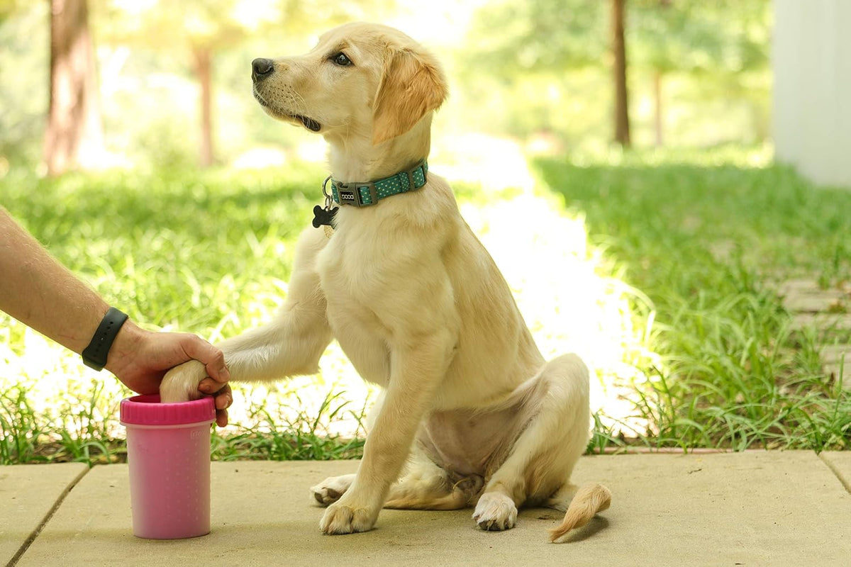 Dexas MudBuster paw washer for muddy paws