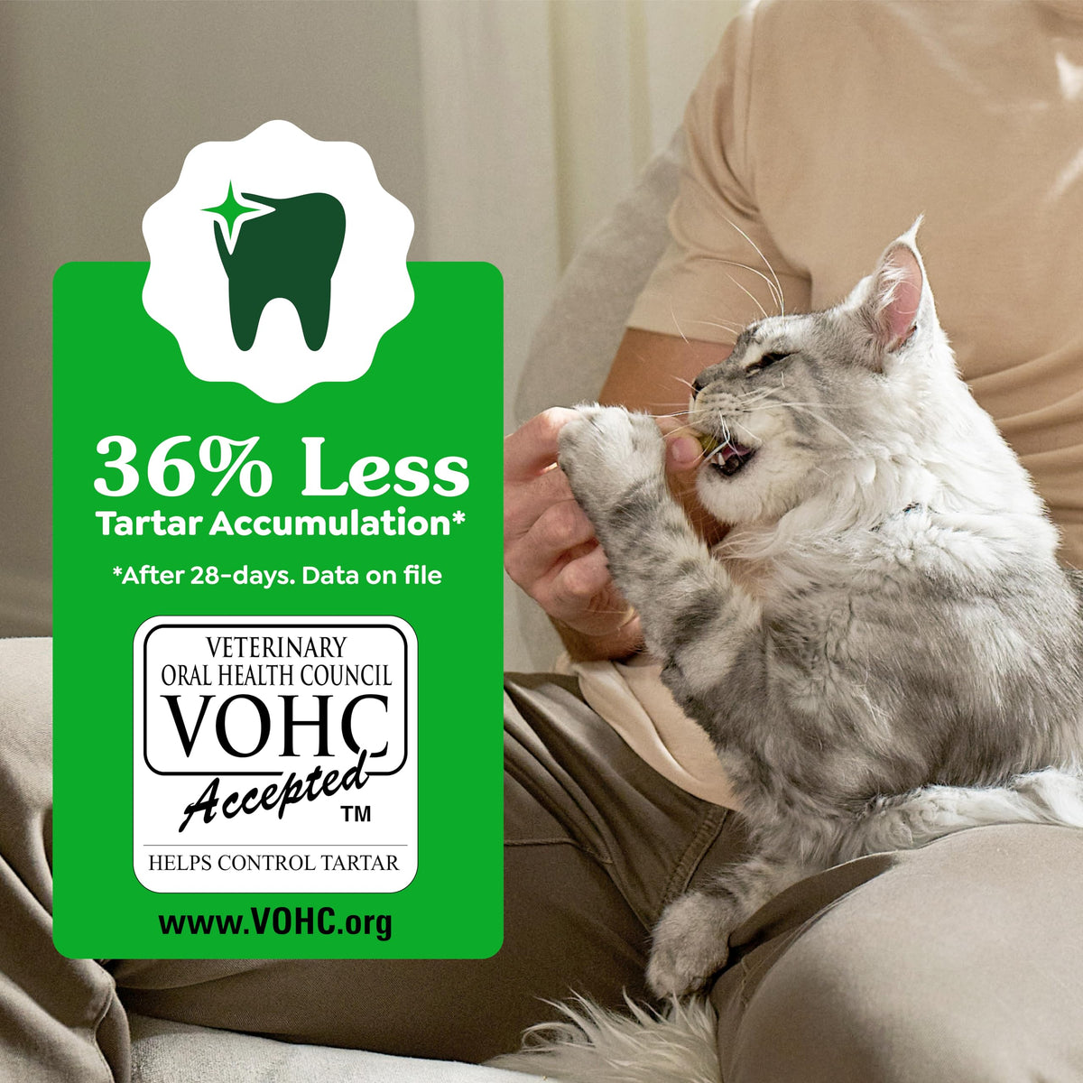 Feline Greenies Dental Treats – texture and finish detail