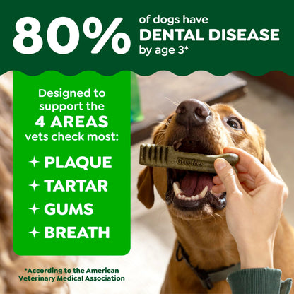 Greenies Teenie Natural Dental Dog Treats – Fresh Mint Flavor, 43 Count