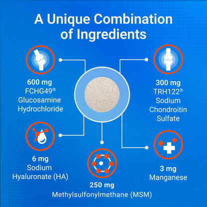 Nutramax Cosequin Joint Health Supplement for Dogs with MSM & HA, 250 Chew Tablets