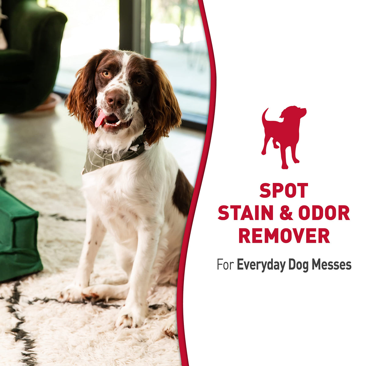 Nature's Miracle stain and odor remover for dogs