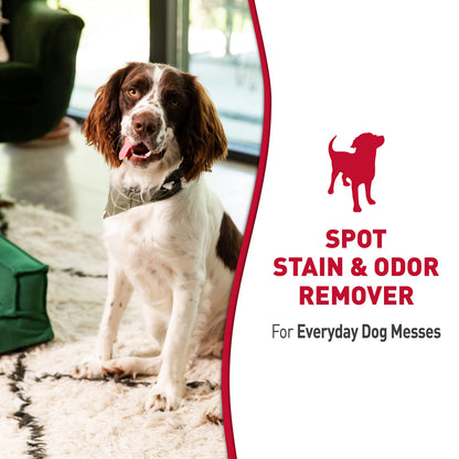 Nature's Miracle stain and odor remover for dogs
