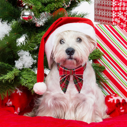 ADOGGYGO Christmas Dog Collar with Bow – Red & Green Plaid Cotton Dog Collar