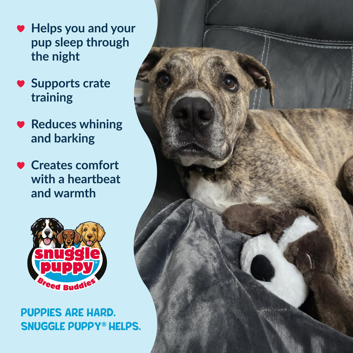 Snuggle Puppy Heartbeat Toy – Calming Comfort Plush for Medium Dogs, Cream