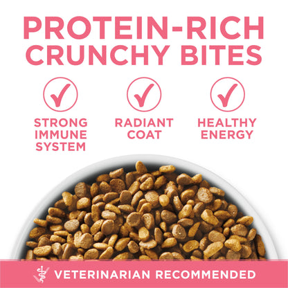 Purina ONE High Protein Kitten Dry Cat Food, 7 lb Bag