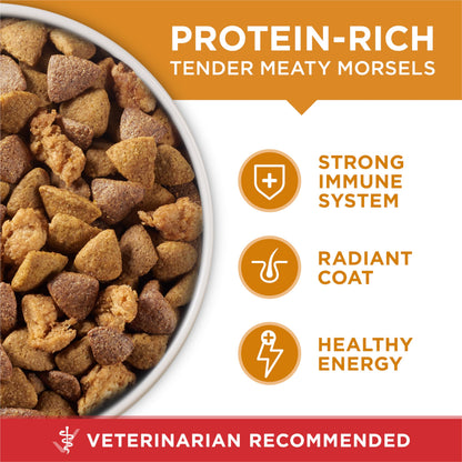 Purina ONE Lamb & Rice Formula Dry Dog Food for Digestive Support