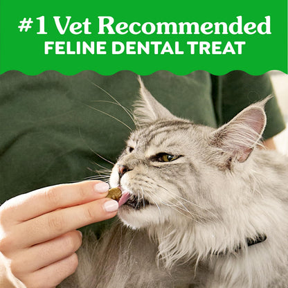 Feline Greenies Dental Treats – angle detail view