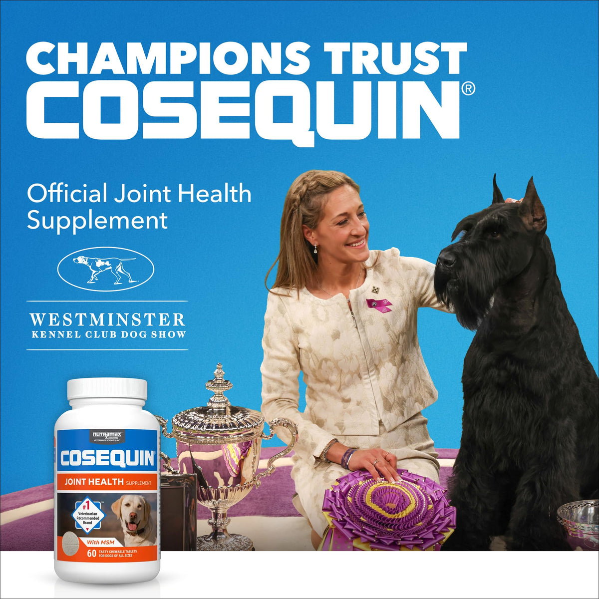 Nutramax Cosequin Joint Health Supplement for Dogs with MSM & HA, 250 Chew Tablets