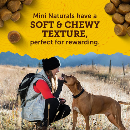 Zuke's Mini Naturals Chicken Dog Training Treats, 16 oz
