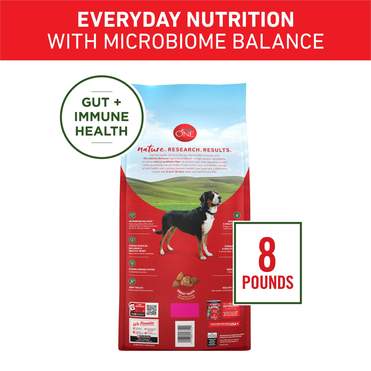 Purina ONE Lamb & Rice Formula Dry Dog Food for Digestive Support