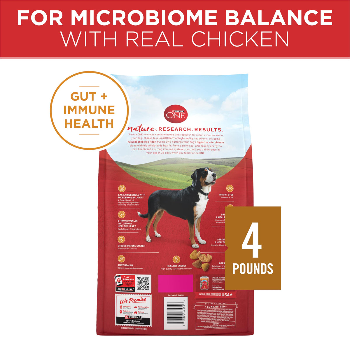 Purina ONE Lamb & Rice Formula Dry Dog Food for Digestive Support