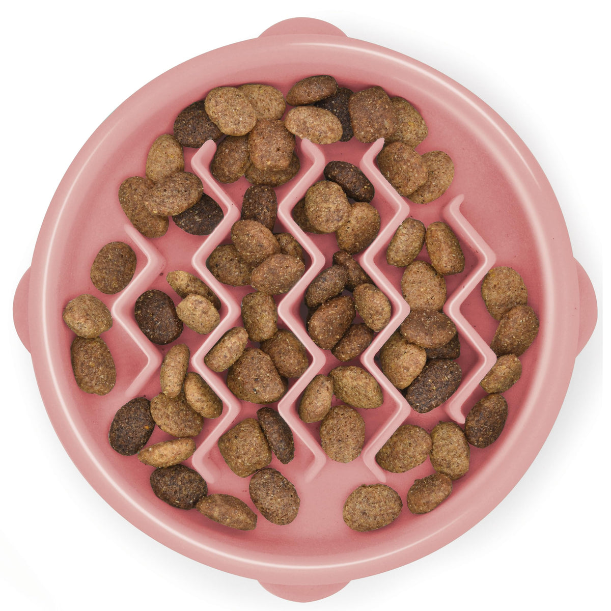 Slow Feeder Dog Bowl Blue – in-use lifestyle view