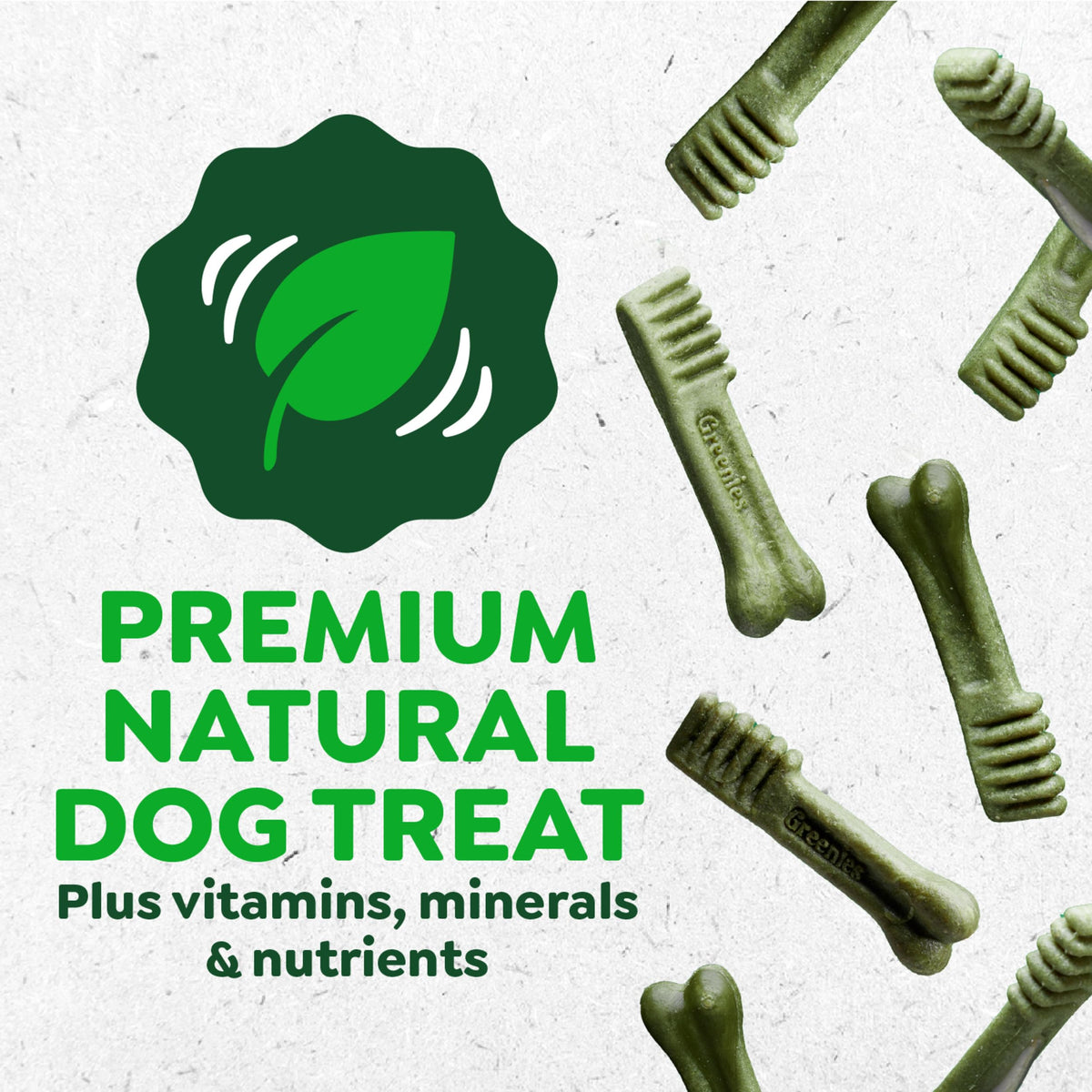 Greenies Teenie Natural Dental Dog Treats – Fresh Mint Flavor, 43 Count