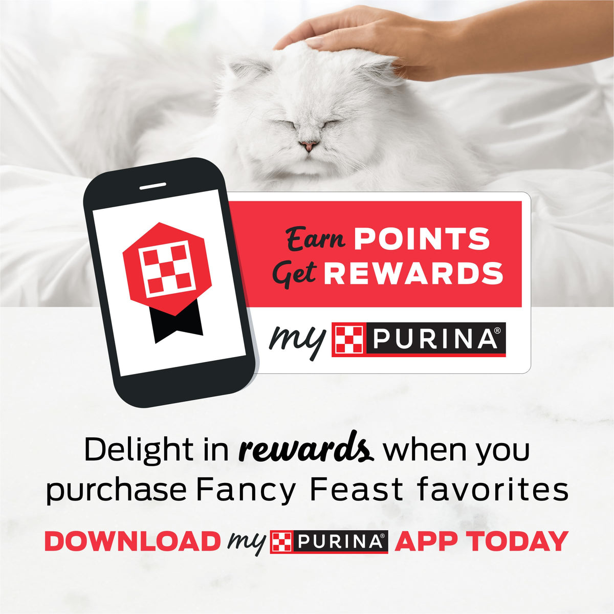 Fancy Feast Grilled Seafood Cat Food – top view
