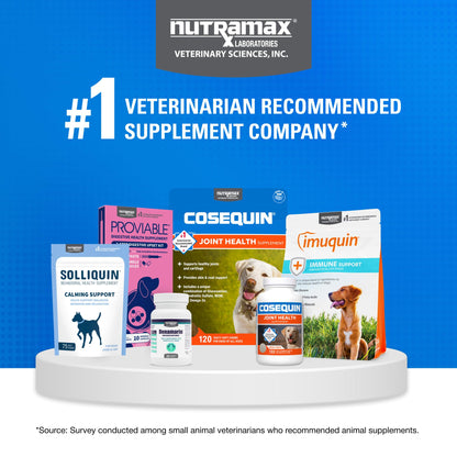 Nutramax Cosequin Joint Health Supplement for Dogs with MSM & HA, 250 Chew Tablets