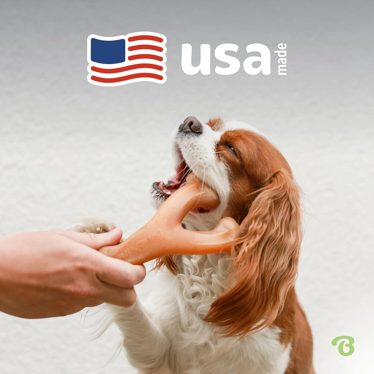 Dog chewing a Benebone Wishbone long-lasting nylon chew toy